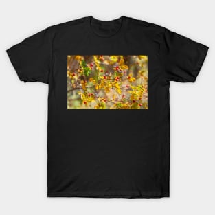 Burst in Colors T-Shirt